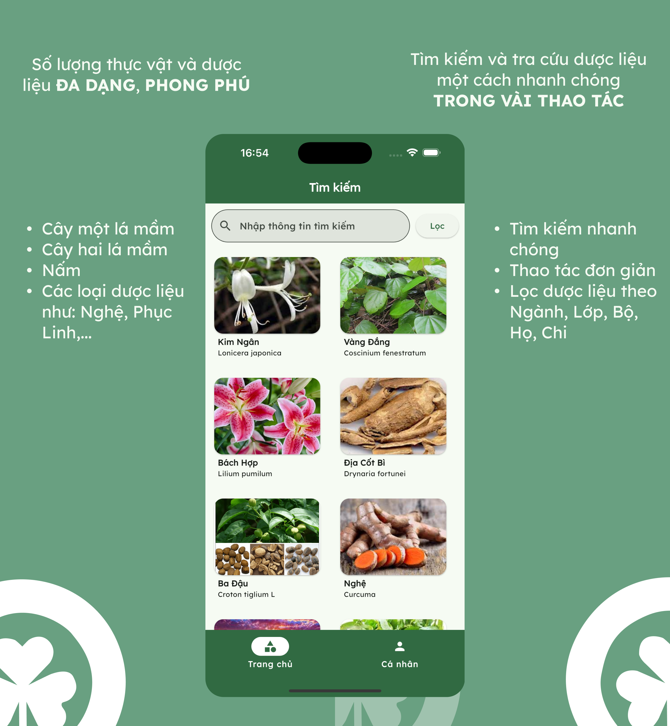 herbal Index graphic